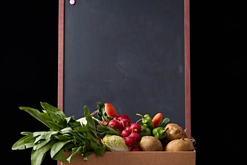 一堆农场新鲜采摘蔬菜