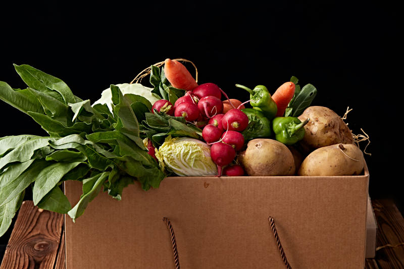 一堆农场新鲜采摘蔬菜