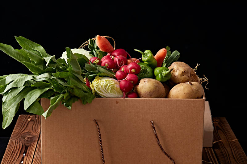 一堆农场新鲜采摘蔬菜