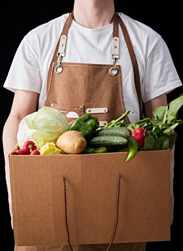 农场新鲜采摘蔬菜