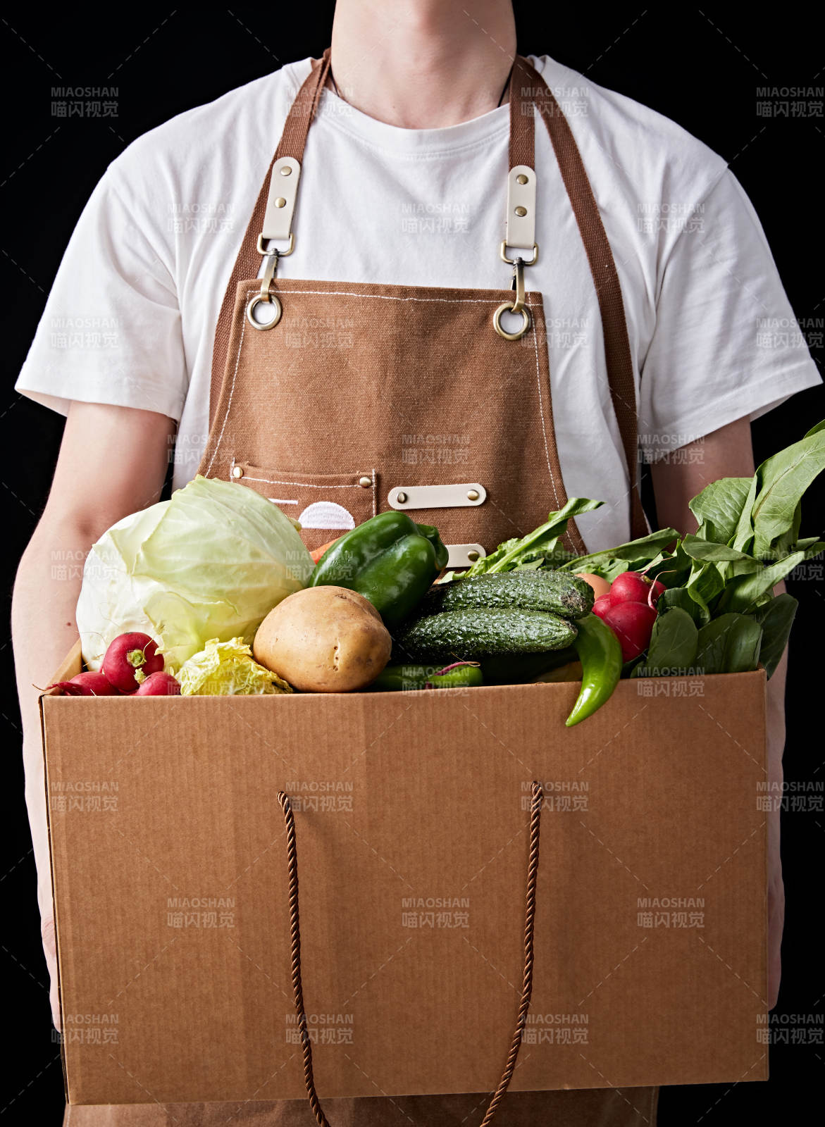 农场新鲜采摘蔬菜