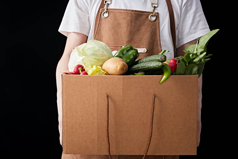 农场新鲜采摘蔬菜