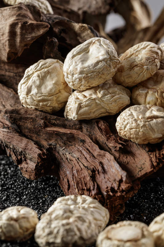 摆放在复杂背景上的坝上脱水干制口蘑