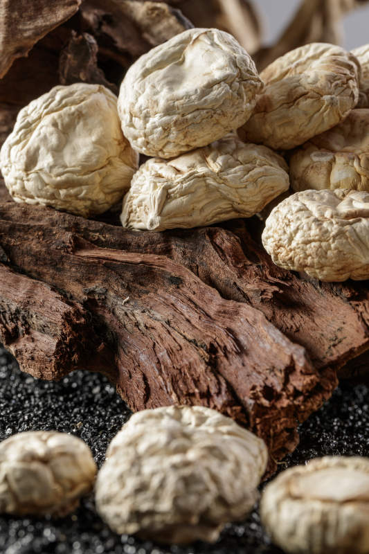 摆放在复杂背景上的坝上脱水干制口蘑