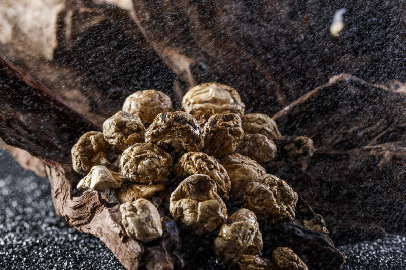 摆放在复杂背景上的坝上脱水干制口蘑