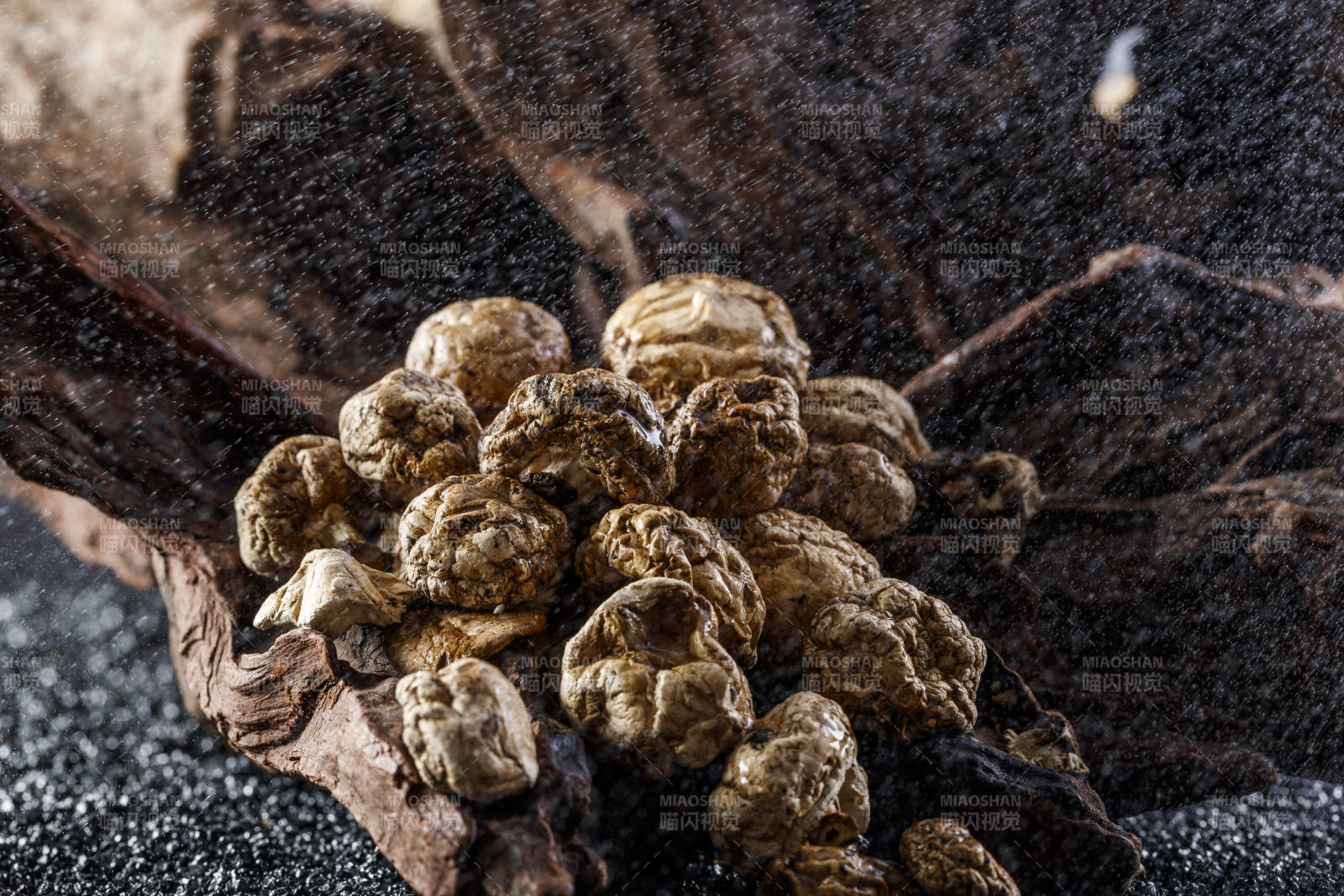 摆放在复杂背景上的坝上脱水干制口蘑