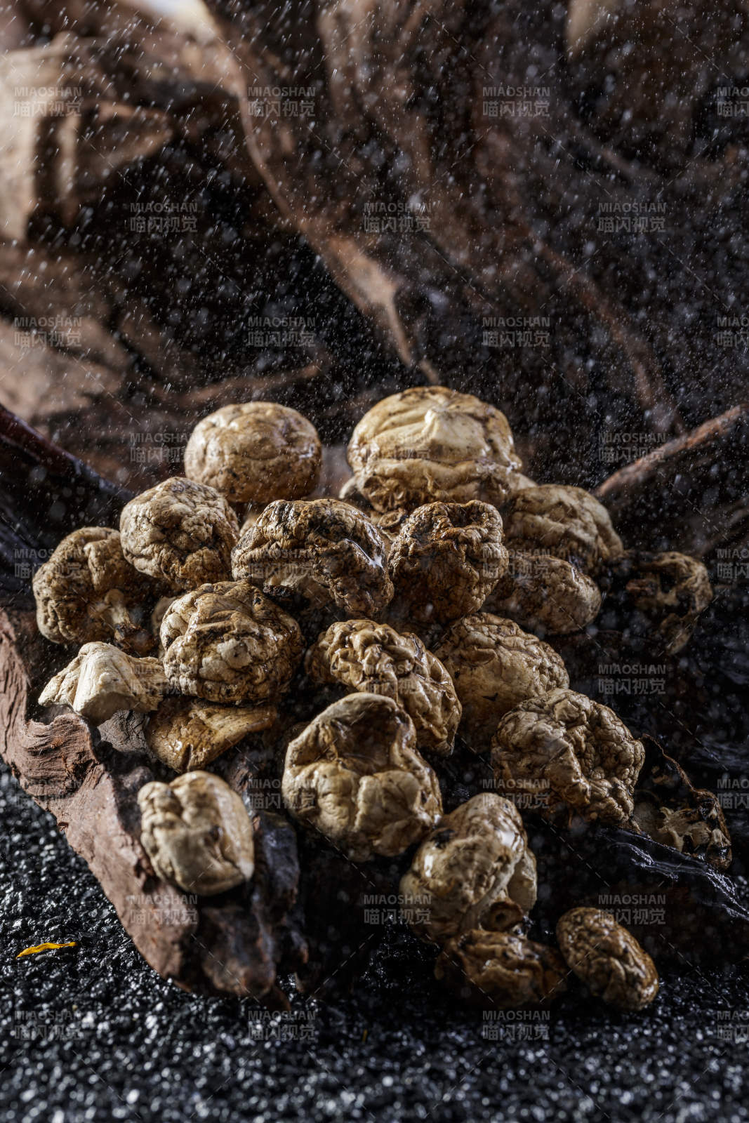 摆放在复杂背景上的坝上脱水干制口蘑