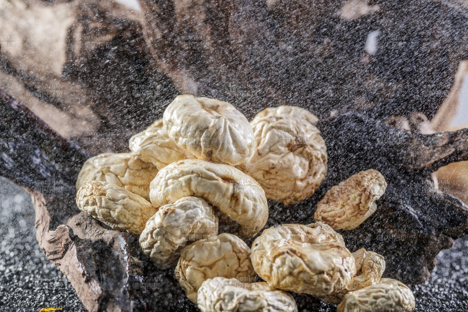 摆放在复杂背景上的坝上脱水干制口蘑