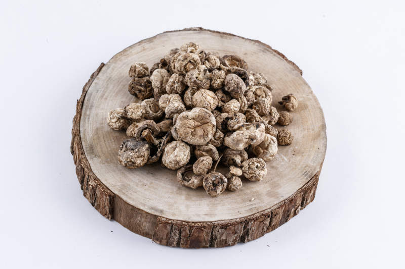 摆放在复杂背景上的坝上脱水干制口蘑