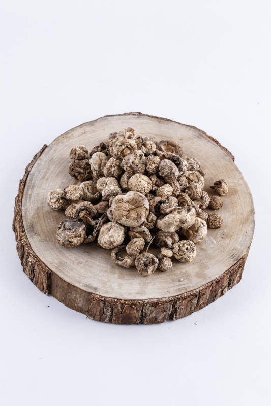 摆放在复杂背景上的坝上脱水干制口蘑