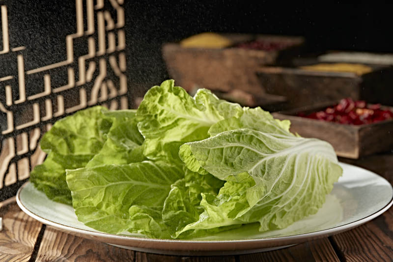 新鮮的兩顆翠綠鮮嫩小白菜