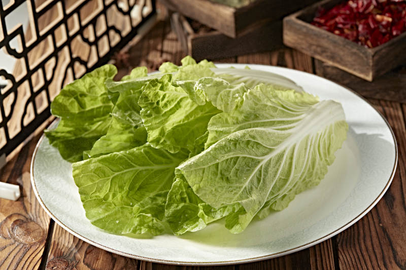 新鮮的兩顆翠綠鮮嫩小白菜