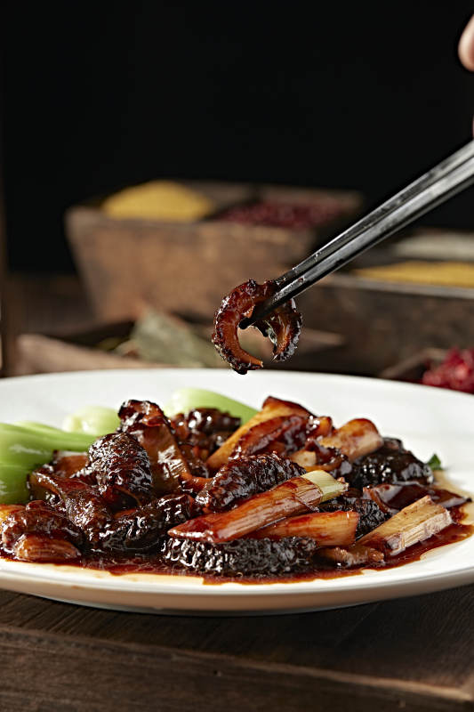 经典传统卤菜葱烧海参