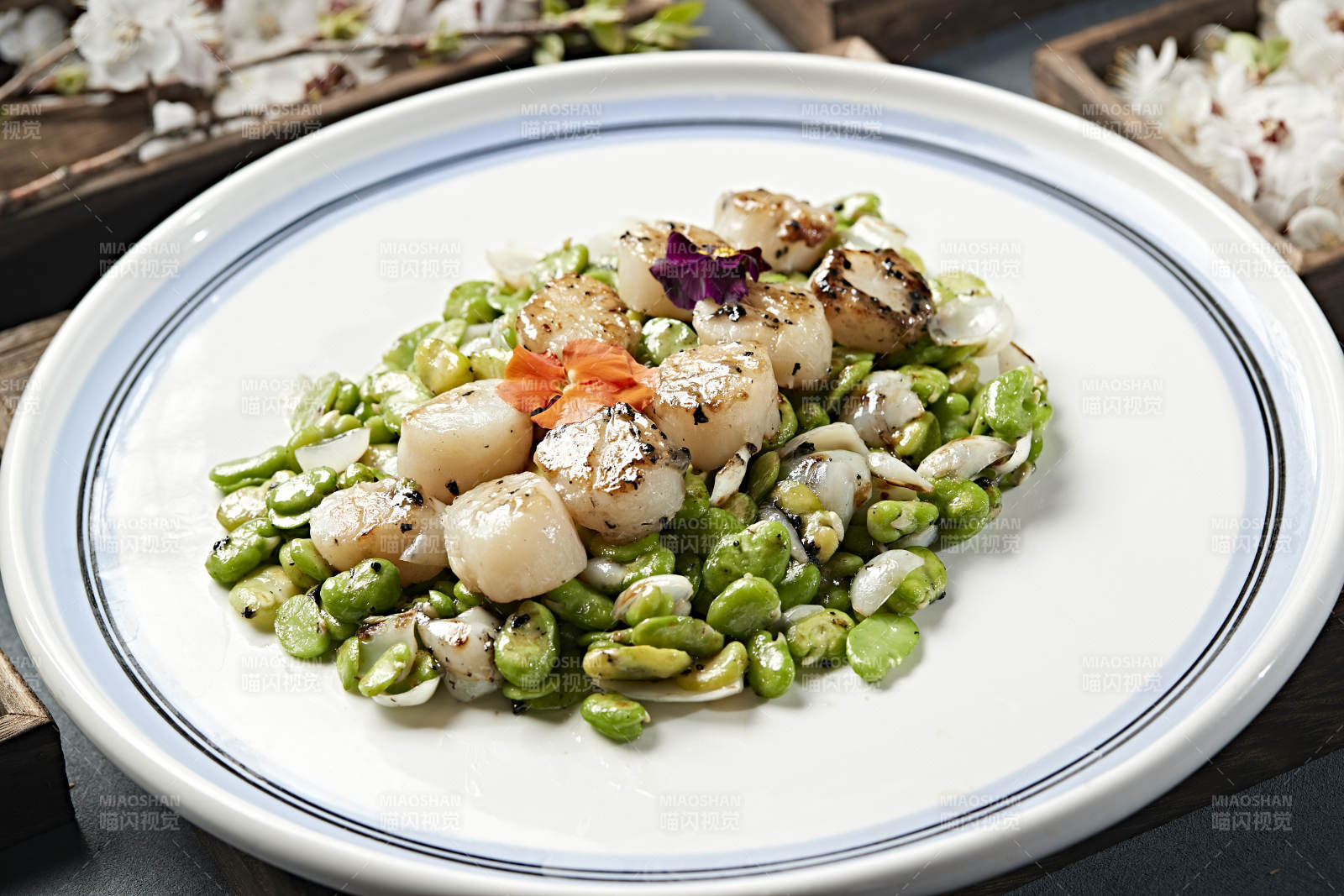 蚕豆百合炒贝丁 瑶柱 带子图片