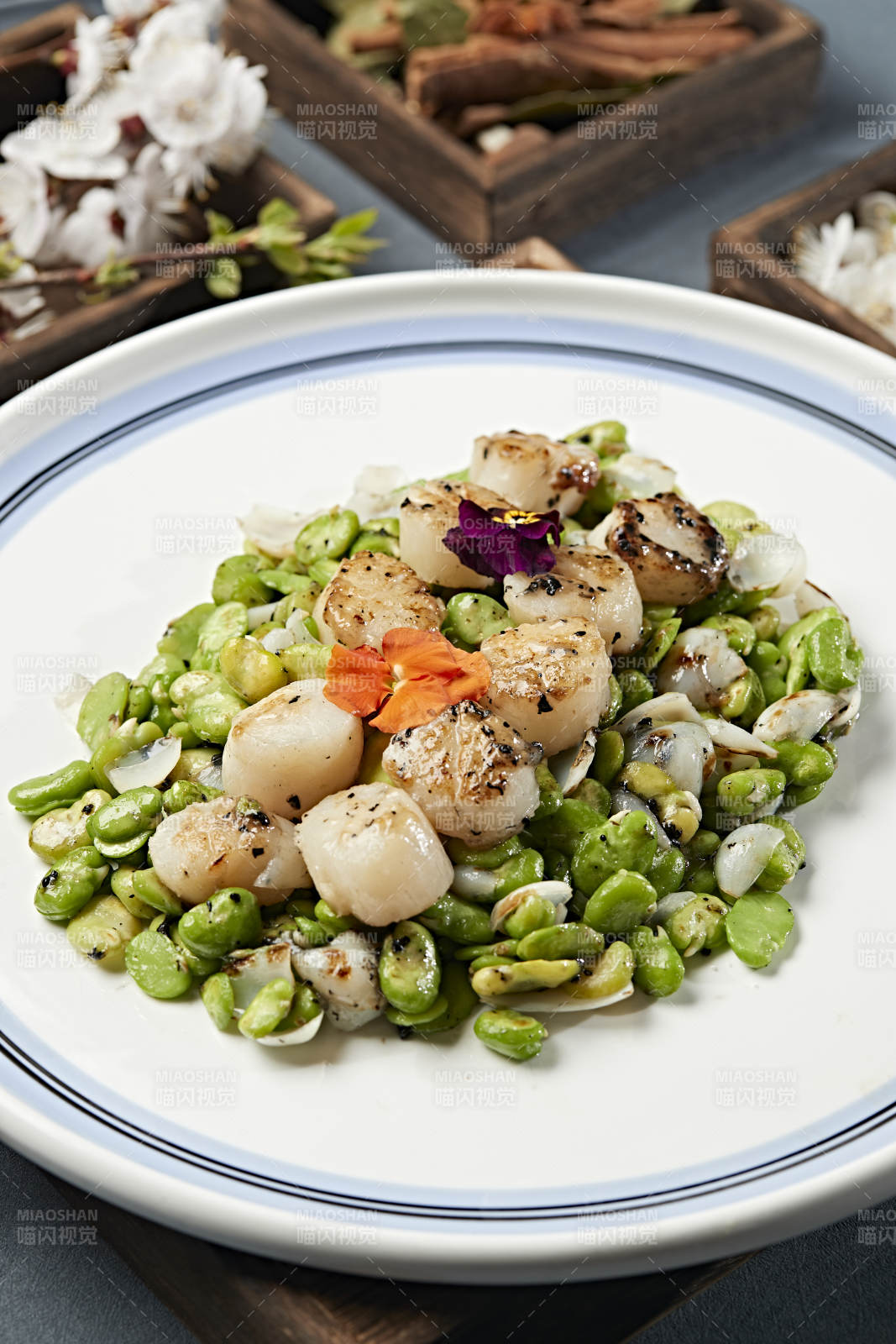 蚕豆百合炒贝丁 瑶柱 带子图片