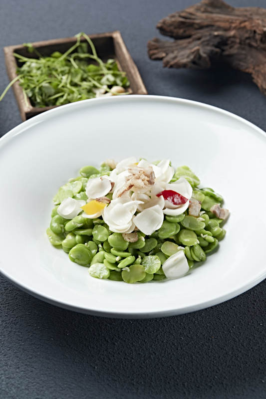 五花肉片彩椒百合小炒青蚕豆