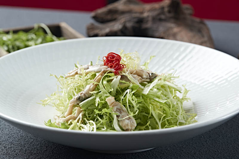 苦菊凉拌海蛏子肉