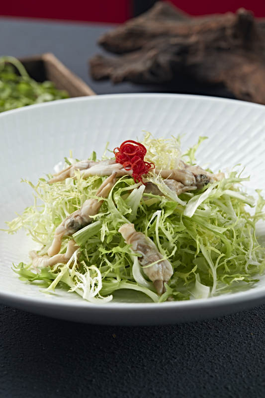 苦菊凉拌海蛏子肉