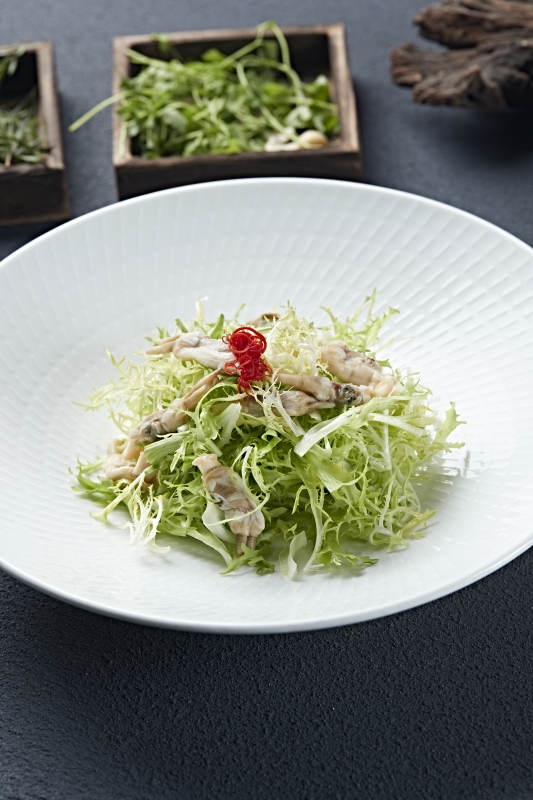 苦菊凉拌海蛏子肉