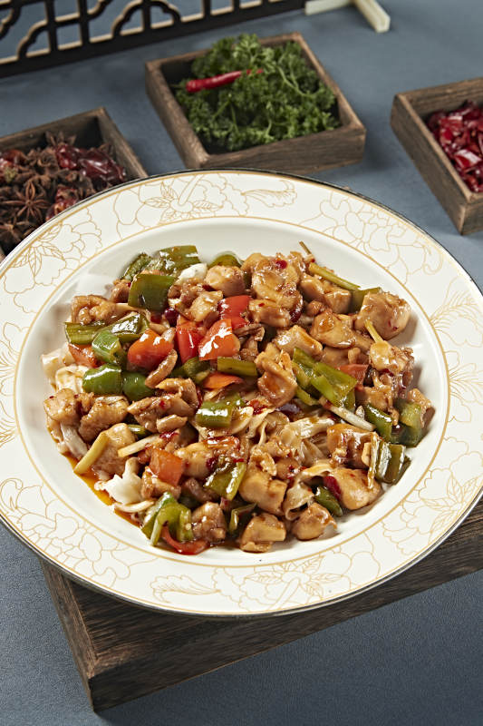 新疆风味美食辣椒烧鸡块盖面