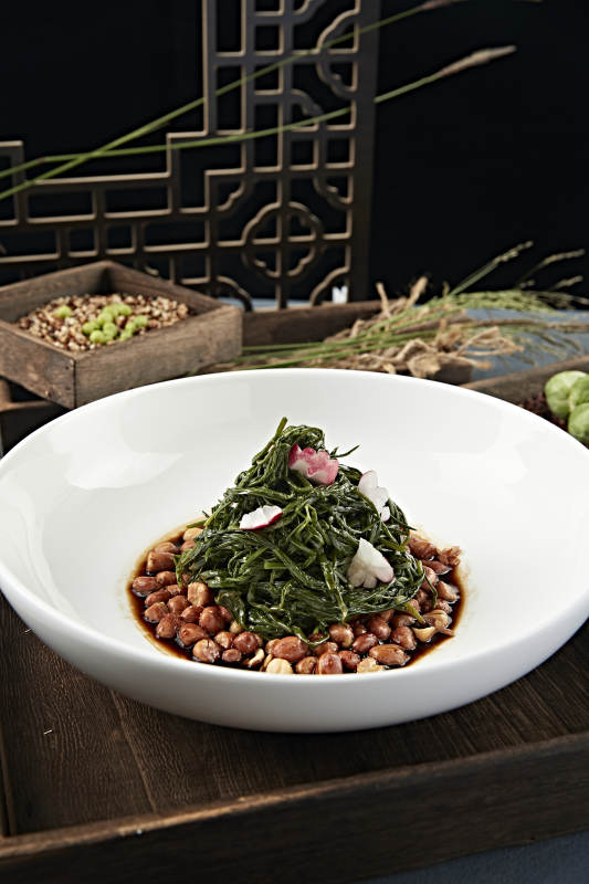 美味凉菜老醋花生拌沙葱