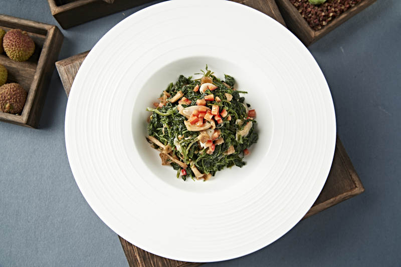 美味凉菜彩椒粒杏仁山珍菌拌蒲公英