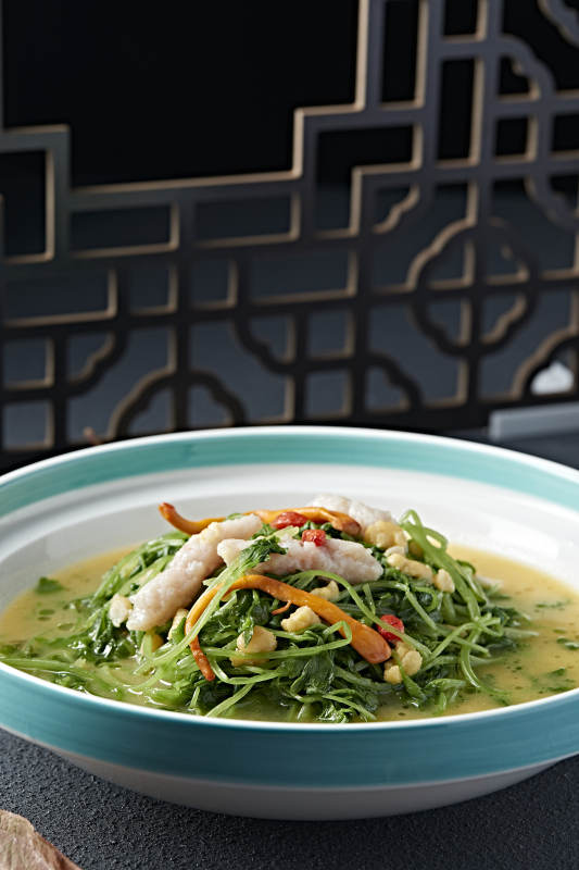 枸杞浓汤炖青菜苗鱼滑