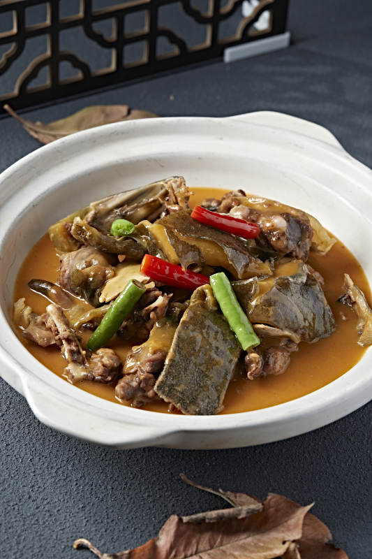 砂锅浓汤煲甲鱼