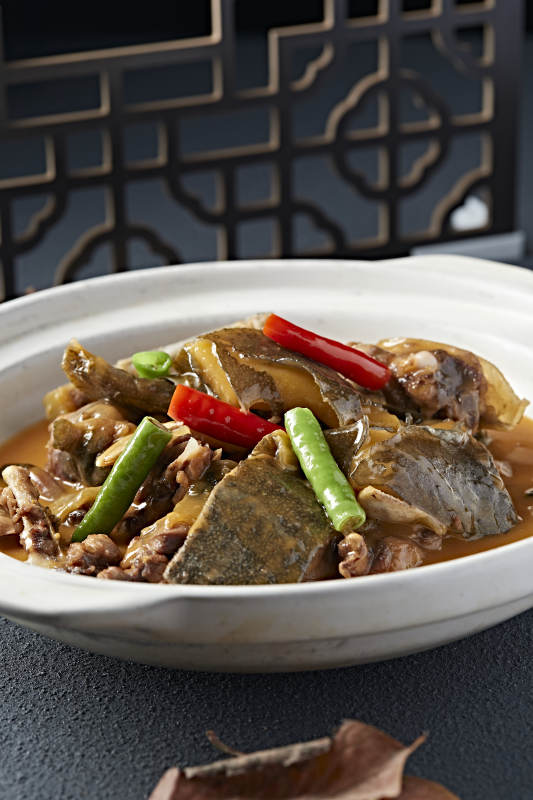 砂锅浓汤煲甲鱼