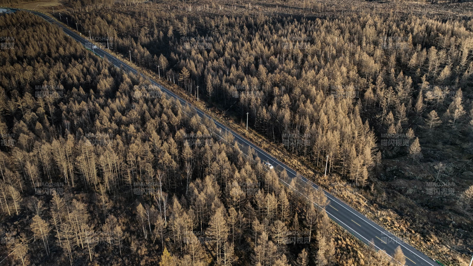 大兴安岭林间公路航拍