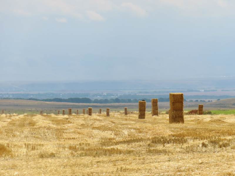 新疆昭苏金田麦垛远山景