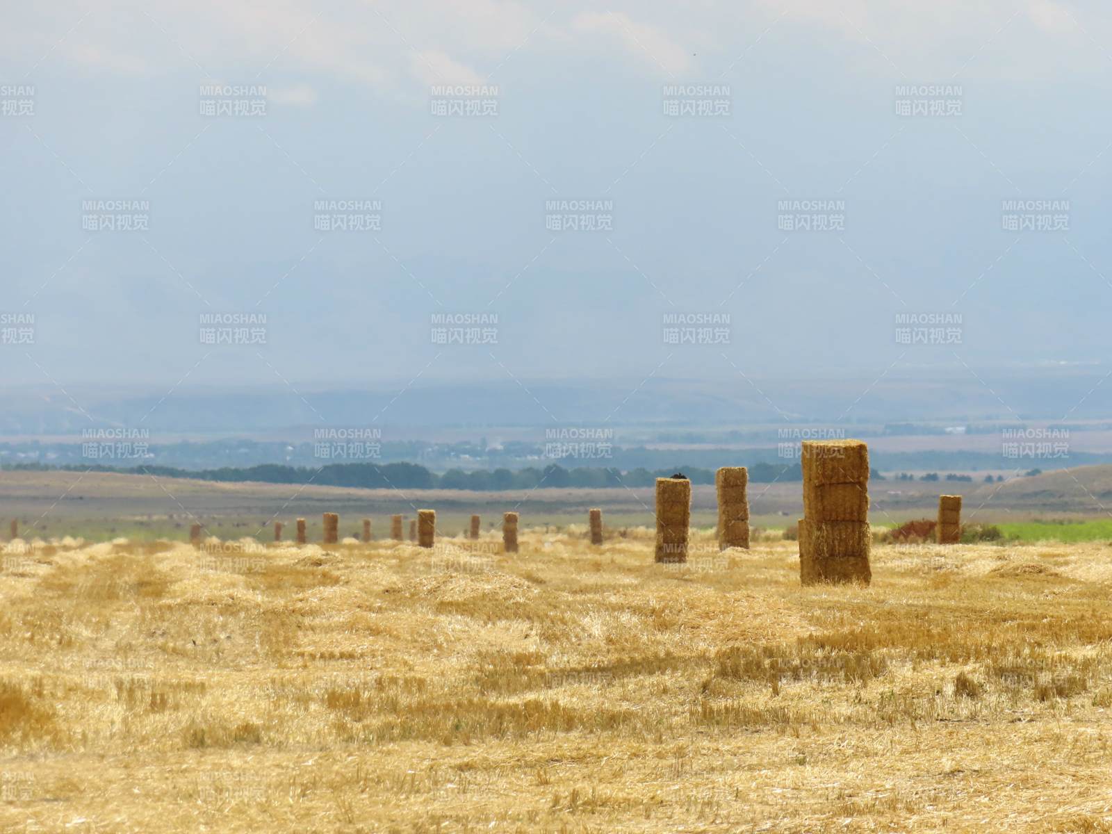 新疆昭苏金田麦垛远山景