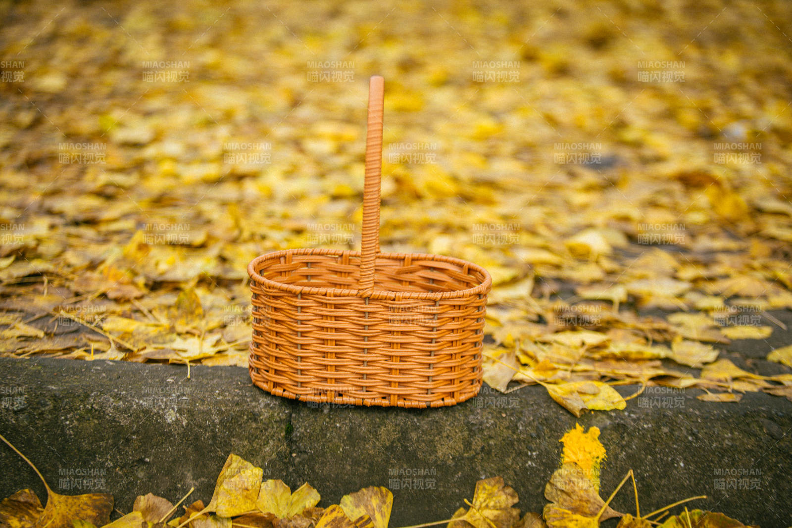 秋叶中的竹篮
