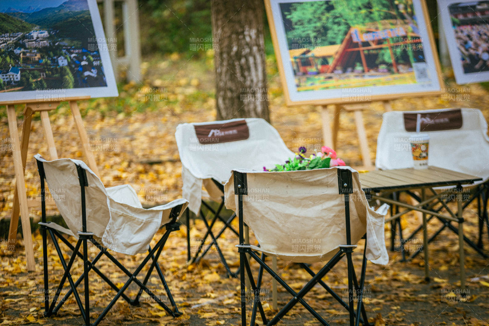 秋日画展静谧一角