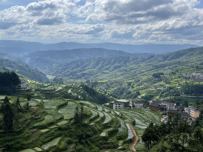 貴州 梯田風(fēng)光 云霧繚繞