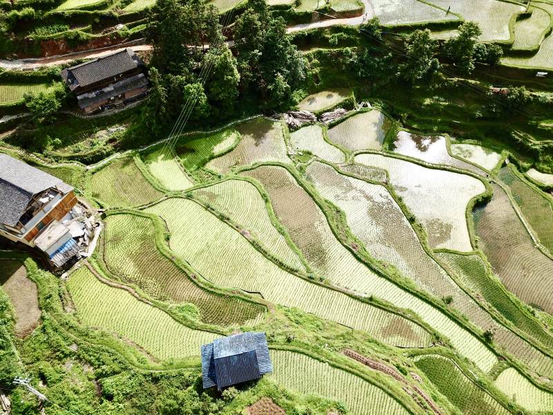 梯田風(fēng)光
