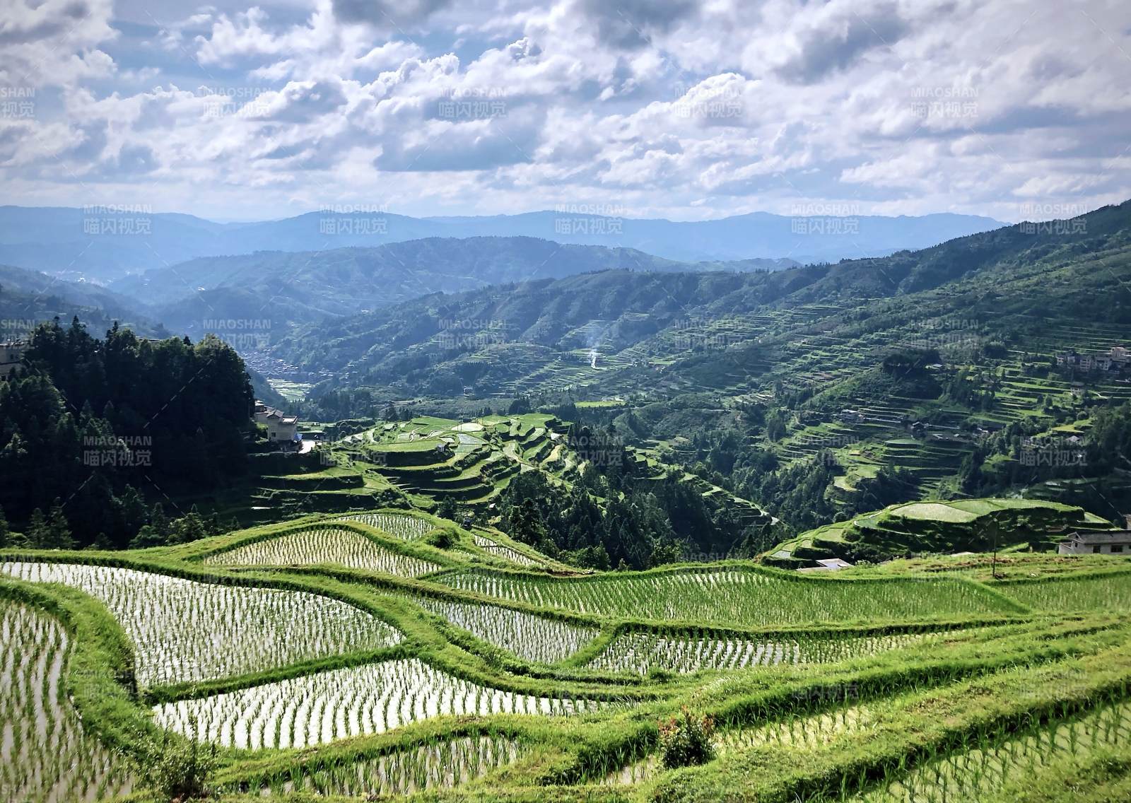 貴州梯田風光