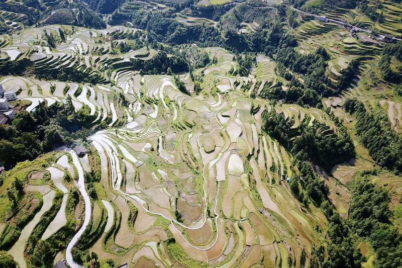 貴州梯田風(fēng)光