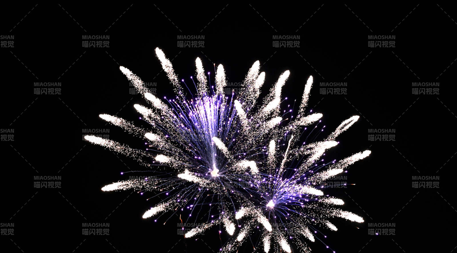 璀璨煙花綻放夜空