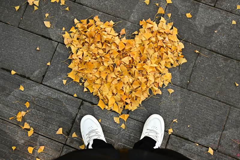 落叶心形与白鞋