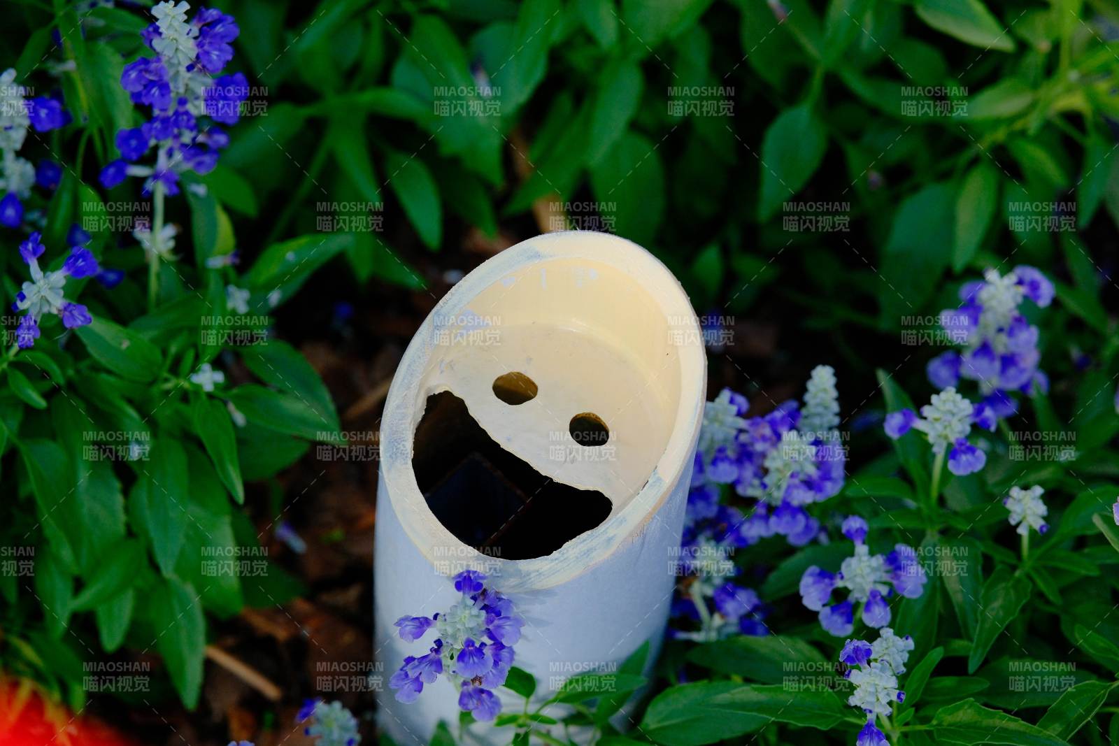 笑臉花盆中的小花