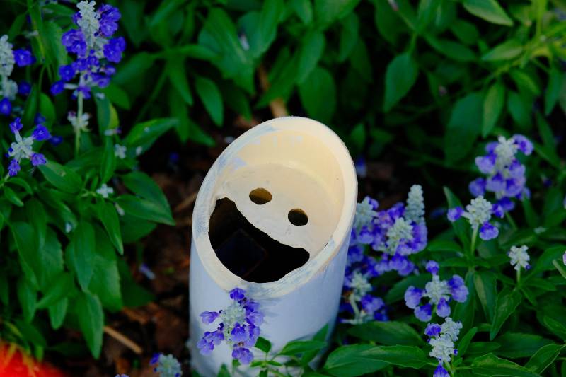 笑臉花盆中的小花