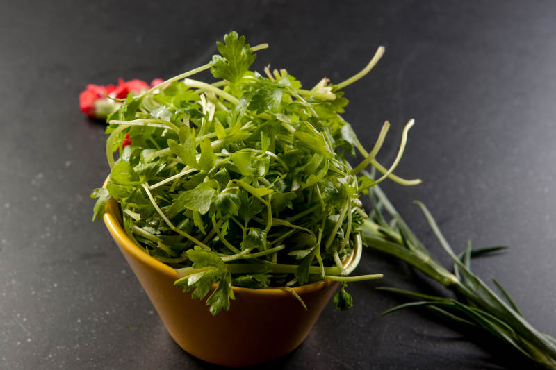 火鍋食材涮品娃娃菜心