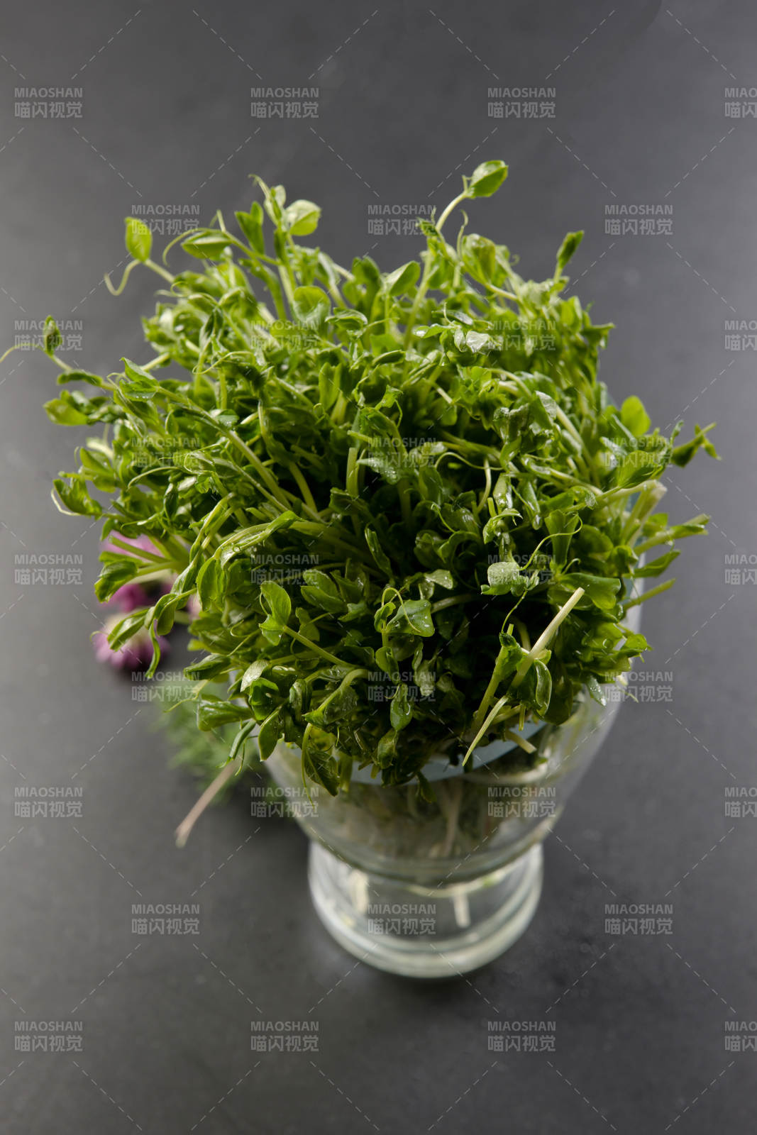 火锅涮品油麦菜-摄影图