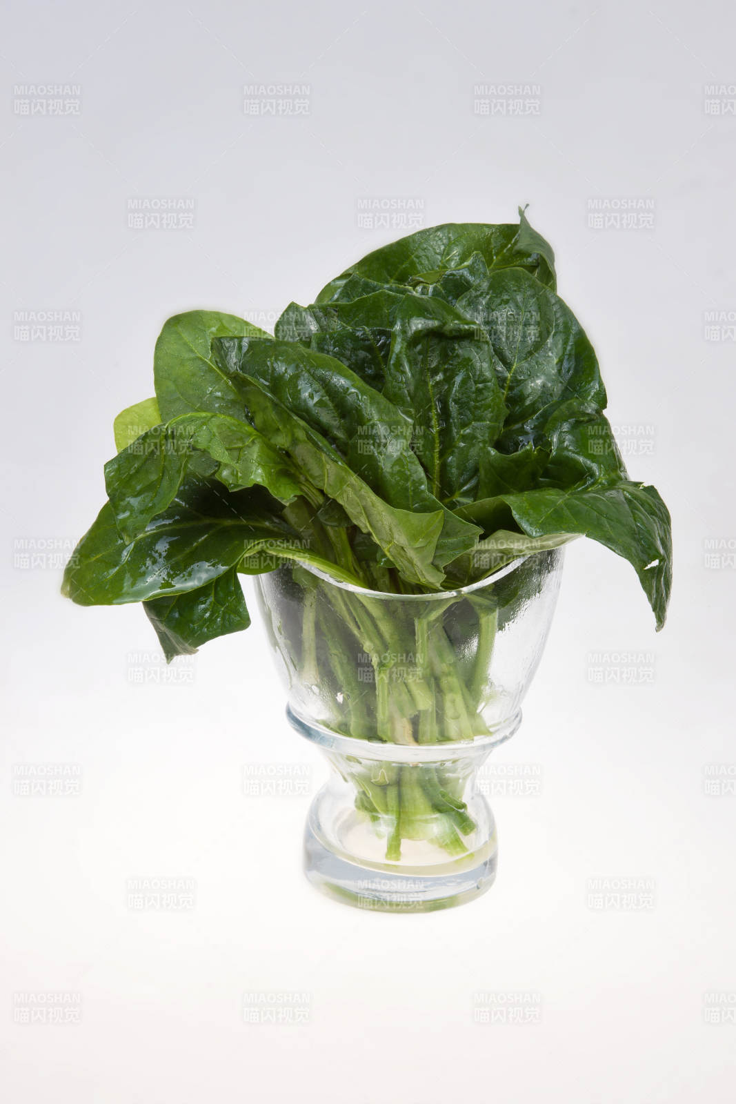 白色瓷盆装的火锅涮菜菠菜