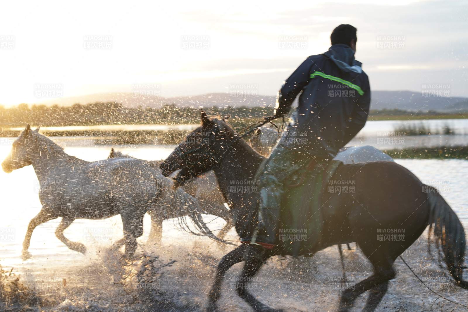 骏马奔腾水花飞溅