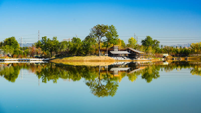 北京玉河湿地公园湖畔静谧风光