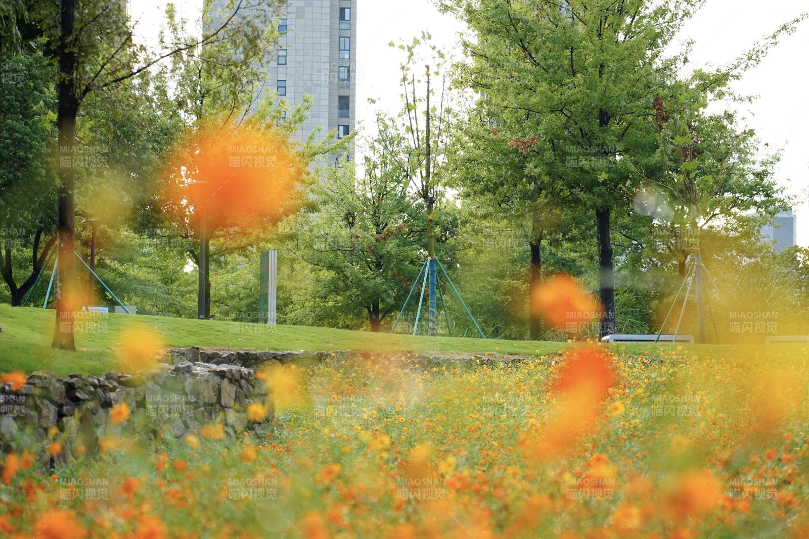 春日花海公園景
