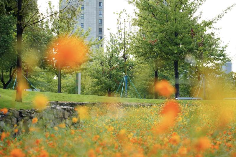 春日花海公園景