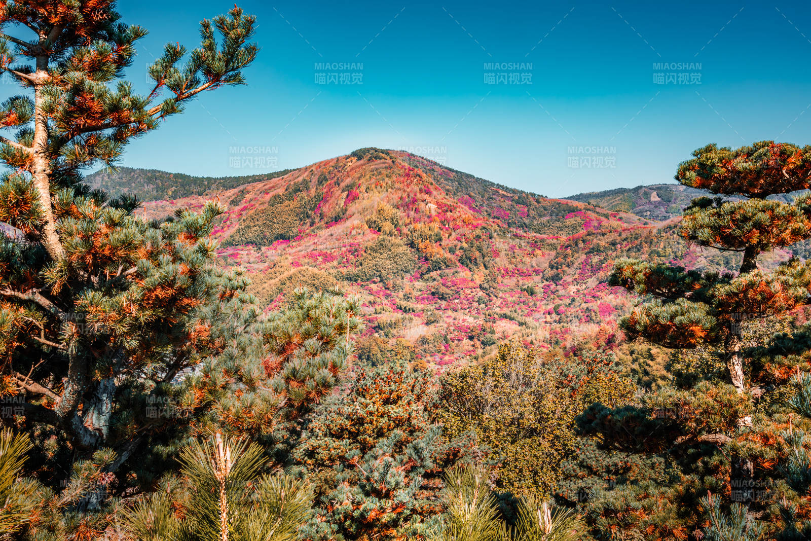 秋山彩林  十里飛瀑